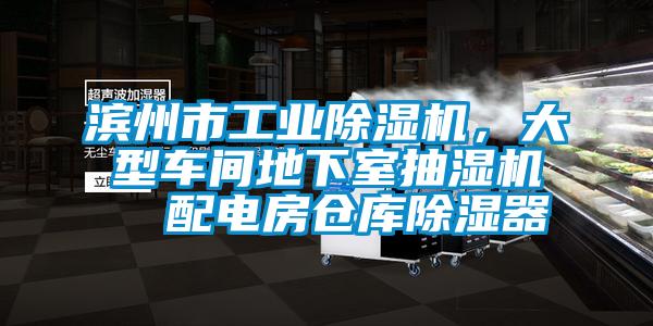 濱州市工業(yè)除濕機，大型車間地下室抽濕機  配電房倉庫除濕器