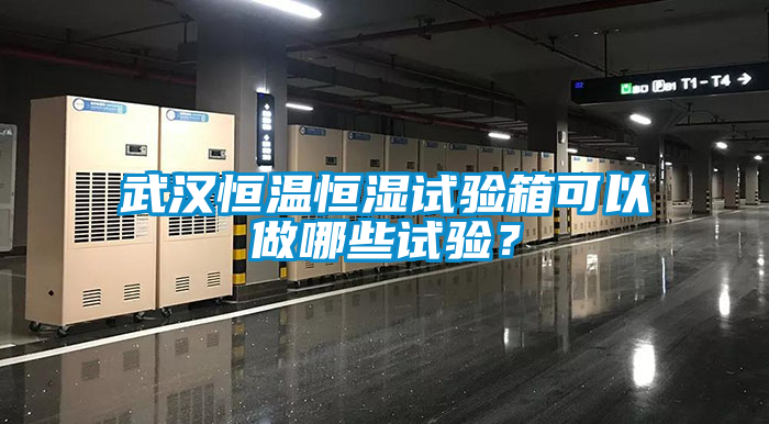 武漢恒溫恒濕試驗(yàn)箱可以做哪些試驗(yàn)？