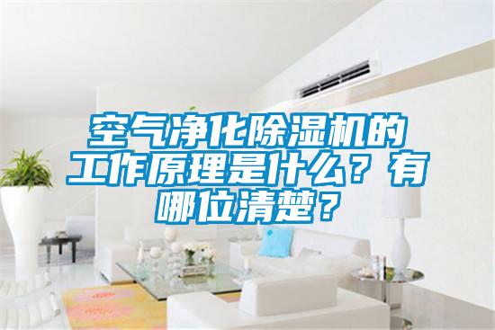 空氣凈化除濕機(jī)的工作原理是什么？有哪位清楚？