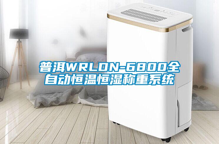 普洱WRLDN-6800全自動恒溫恒濕稱重系統(tǒng)