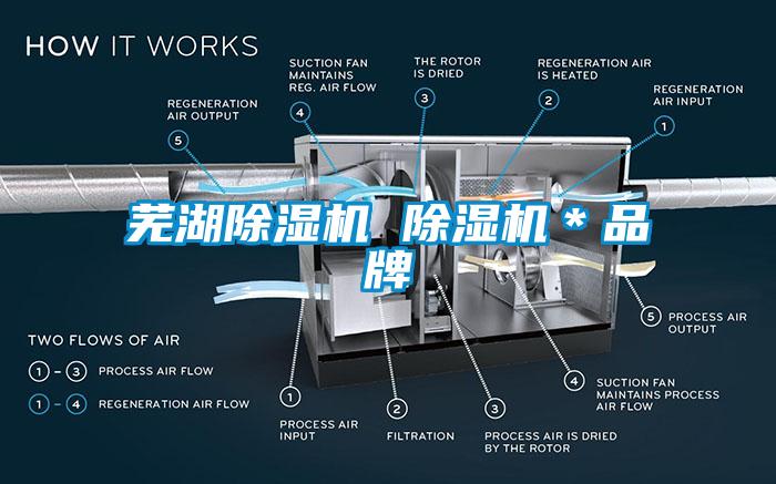 蕪湖除濕機(jī) 除濕機(jī)＊品牌