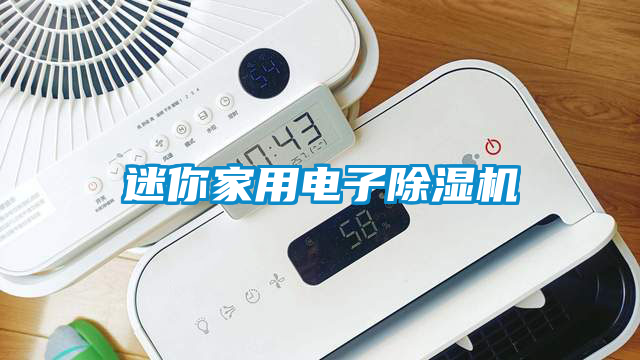 迷你家用電子除濕機(jī)