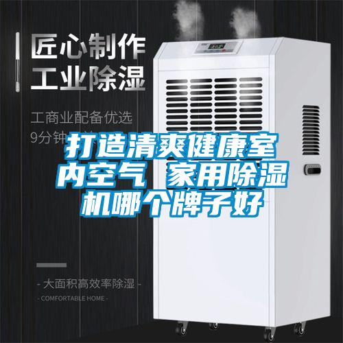 打造清爽健康室內(nèi)空氣 家用除濕機(jī)哪個(gè)牌子好