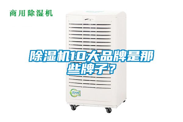 除濕機10大品牌是那些牌子？