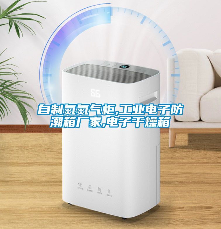 自制氮氮?dú)夤?工業(yè)電子防潮箱廠家,電子干燥箱