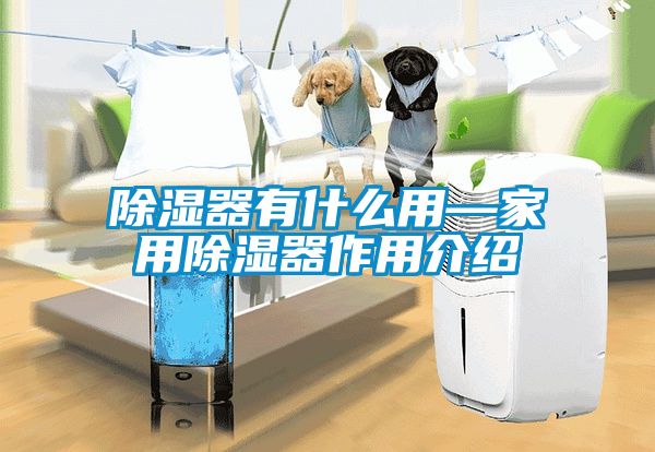 除濕器有什么用—家用除濕器作用介紹