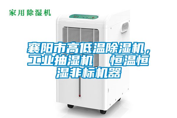 襄陽市高低溫除濕機，工業(yè)抽濕機  恒溫恒濕非標(biāo)機器