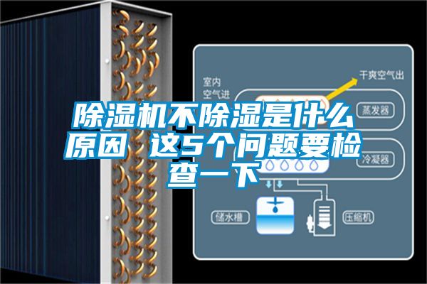 除濕機不除濕是什么原因 這5個問題要檢查一下