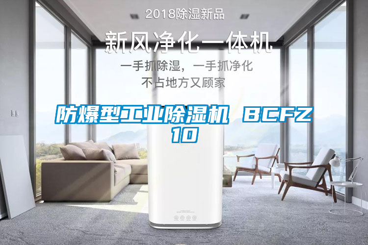 防爆型工業(yè)除濕機 BCFZ10