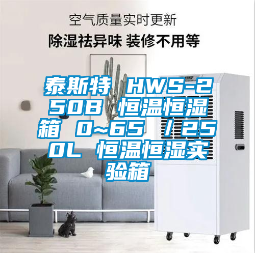 泰斯特 HWS-250B 恒溫恒濕箱 0~65℃／250L 恒溫恒濕實驗箱