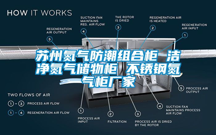 蘇州氮?dú)夥莱苯M合柜 潔凈氮?dú)鈨?chǔ)物柜 不銹鋼氮?dú)夤駨S家