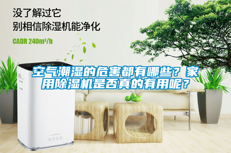 空氣潮濕的危害都有哪些？家用除濕機是否真的有用呢？