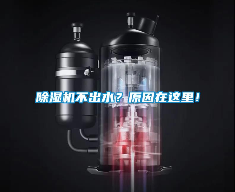 除濕機不出水？原因在這里！