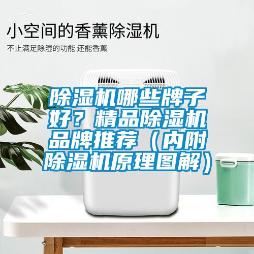 除濕機(jī)哪些牌子好？精品除濕機(jī)品牌推薦（內(nèi)附除濕機(jī)原理圖解）