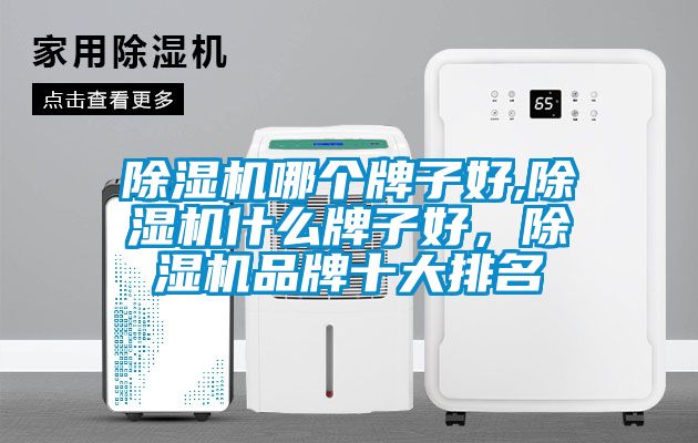 除濕機哪個牌子好,除濕機什么牌子好，除濕機品牌十大排名