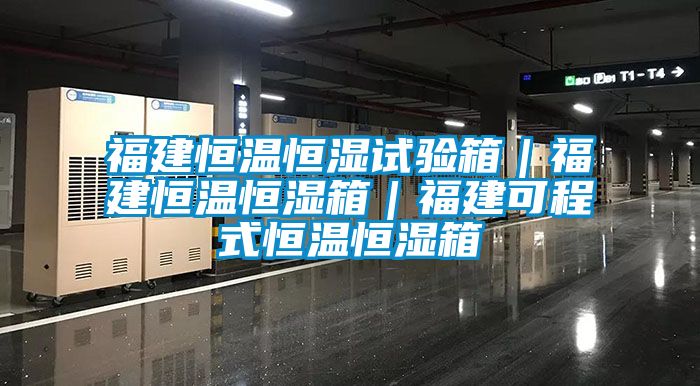 福建恒溫恒濕試驗箱｜福建恒溫恒濕箱｜福建可程式恒溫恒濕箱