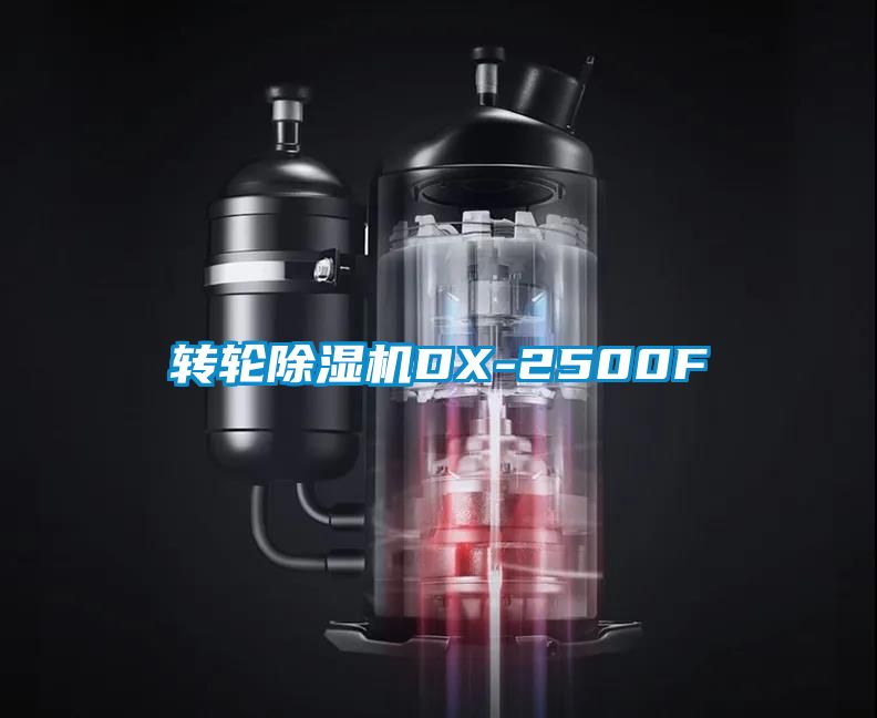 轉(zhuǎn)輪除濕機(jī)DX-2500F