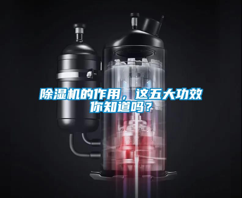 除濕機的作用，這五大功效你知道嗎？