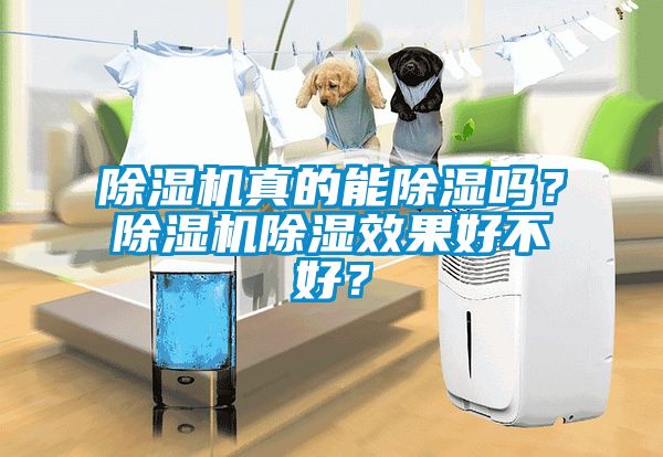 除濕機真的能除濕嗎？除濕機除濕效果好不好？