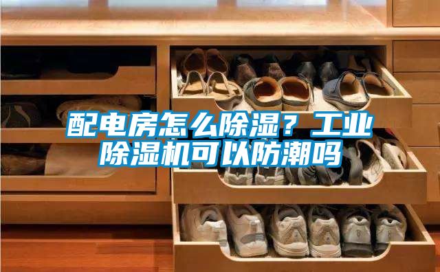 配電房怎么除濕？工業(yè)除濕機(jī)可以防潮嗎