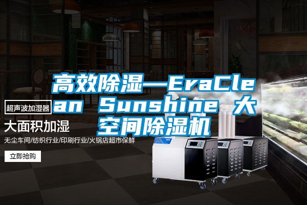 高效除濕—EraClean Sunshine 大空間除濕機