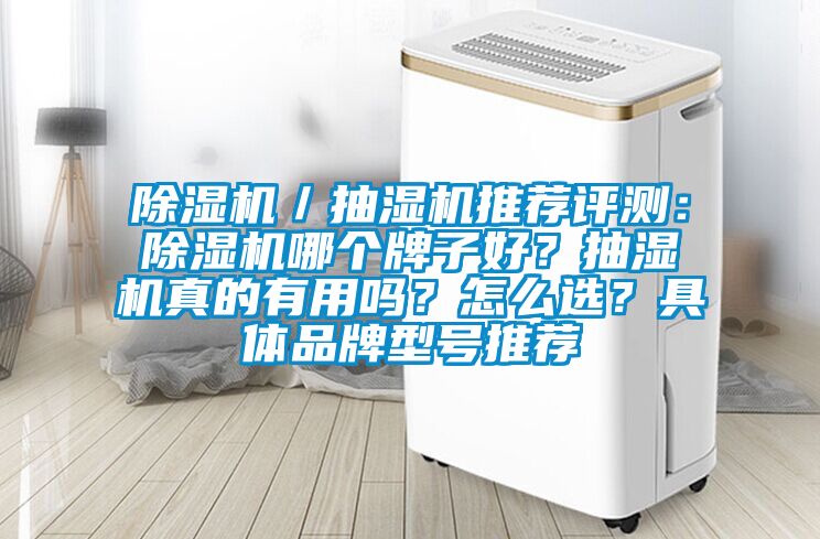 除濕機／抽濕機推薦評測：除濕機哪個牌子好？抽濕機真的有用嗎？怎么選？具體品牌型號推薦