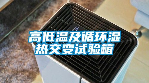 高低溫及循環(huán)濕熱交變試驗箱