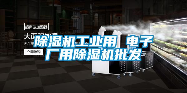 除濕機(jī)工業(yè)用 電子廠用除濕機(jī)批發(fā)