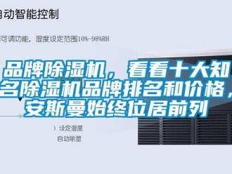 企業(yè)新聞品牌除濕機，看看十大知名除濕機品牌排名和價格，安斯曼始終位居前列