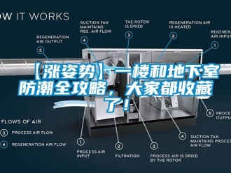 企業(yè)新聞【漲姿勢(shì)】一樓和地下室防潮全攻略，大家都收藏了！