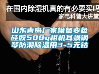 常見問題山東青島廠家橙色變色硅膠500g相機耳蝸鋼琴防潮除濕用3-5無鈷