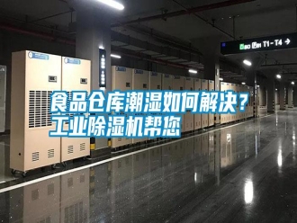 知識百科食品倉庫潮濕如何解決？工業(yè)除濕機幫您