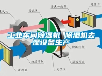 常見問題工業(yè)車間除濕機(jī) 除濕機(jī)去濕設(shè)備生產(chǎn)