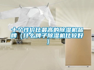 企業(yè)新聞十個(gè)性價(jià)比最高的除濕機(jī)品牌（什么牌子除濕機(jī)比較好）