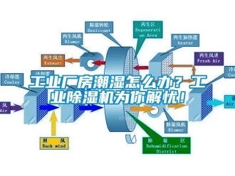 常見問題工業(yè)廠房潮濕怎么辦？工業(yè)除濕機為你解憂！