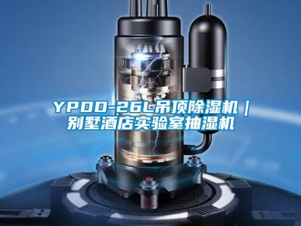 企業(yè)新聞YPDD-26L吊頂除濕機(jī)｜別墅酒店實(shí)驗(yàn)室抽濕機(jī)