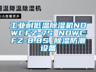 常見問題工業(yè)耐低溫除濕機(jī)NDWCFZ-7S NDWCFZ-8.8S 除濕防潮設(shè)備