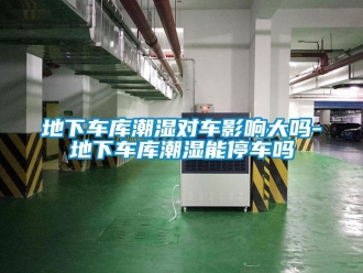 企業(yè)新聞地下車庫潮濕對車影響大嗎-地下車庫潮濕能停車嗎