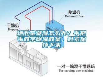 企業(yè)新聞地下室潮濕怎么辦？手把手教學(xué)除濕教案，趕緊保持下來