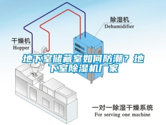 企業(yè)新聞地下室儲(chǔ)藏室如何防潮？地下室除濕機(jī)廠家