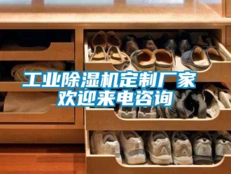 企業(yè)新聞工業(yè)除濕機(jī)定制廠家 歡迎來電咨詢