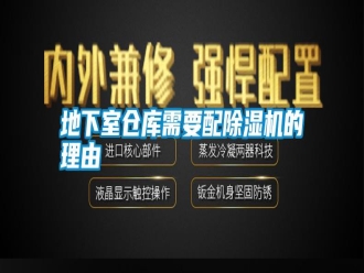 行業(yè)新聞地下室倉(cāng)庫(kù)需要配除濕機(jī)的理由