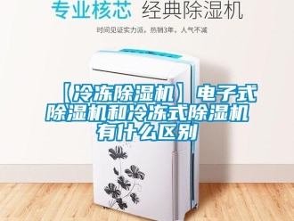 企業(yè)新聞【冷凍除濕機】電子式除濕機和冷凍式除濕機有什么區(qū)別