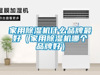 企業(yè)新聞家用除濕機(jī)什么品牌最好（家用除濕機(jī)哪個(gè)品牌好）