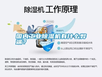 企業(yè)新聞國內工業(yè)除濕機有什么弊端？