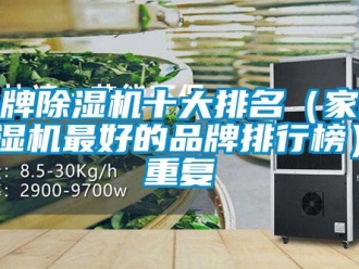 企業(yè)新聞品牌除濕機十大排名（家用除濕機最好的品牌排行榜）_重復