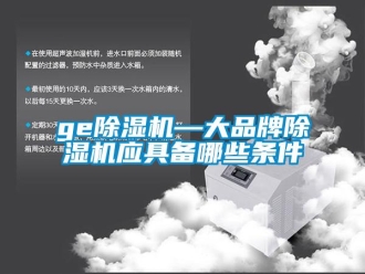 企業(yè)新聞ge除濕機—大品牌除濕機應具備哪些條件