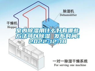 企業(yè)新聞室內(nèi)除濕用什么好有哪些方法可以除濕 發(fā)布時間：2022-12-18