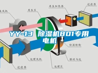 企業(yè)新聞YY-13 除濕機(jī)801專(zhuān)用電機(jī)