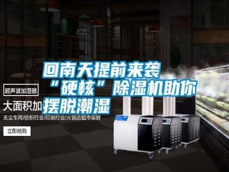 企業(yè)新聞回南天提前來襲 “硬核”除濕機(jī)助你擺脫潮濕